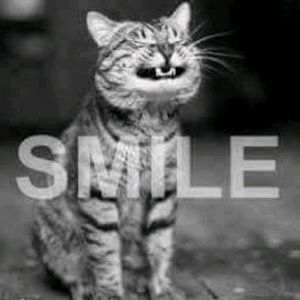 Meet your Posher, Johnathan